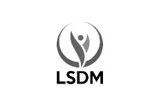 LSDM